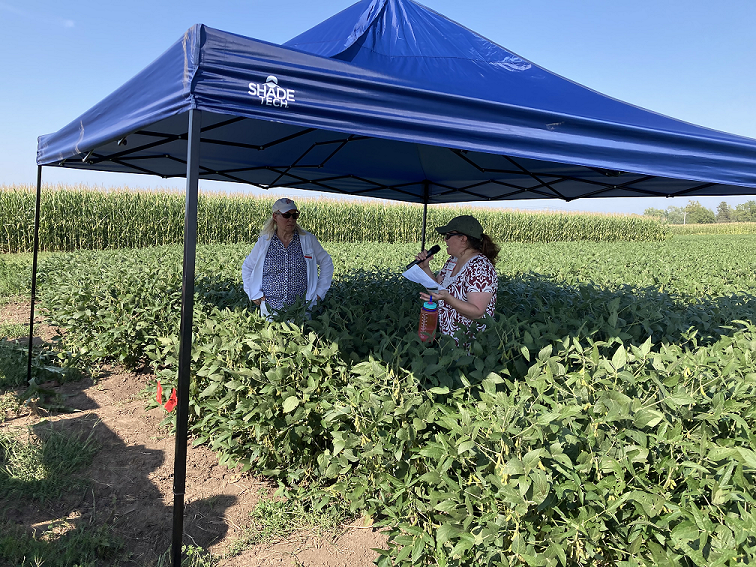 Article: New organic farming study tackles questions of soil health, economics and more, with input from farmers