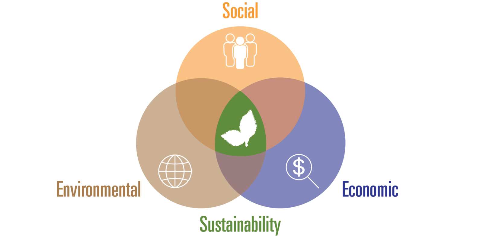 Three Facets Diagram